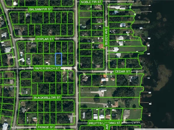 1512 Paper Birch St, Lake Placid, FL 33852