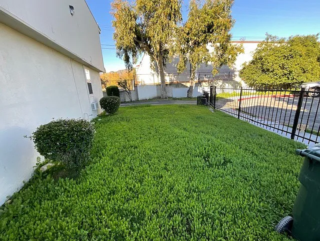667 Glenfinnan Ave #C — Photo 9