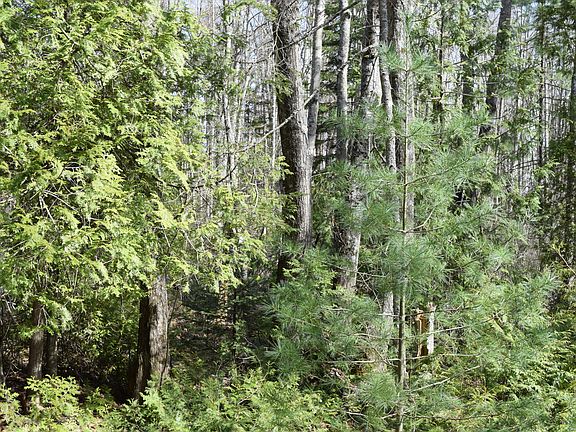 4th image of Lot 49 Heron Lane