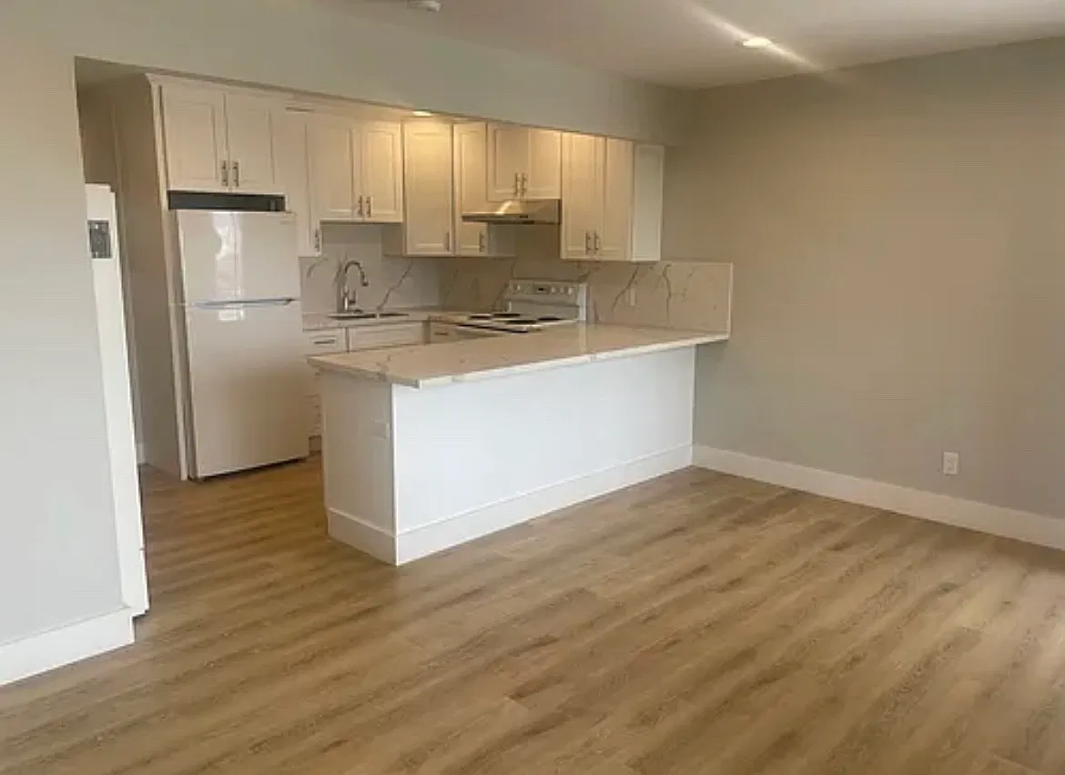 841 Solano Ave — Photo 4