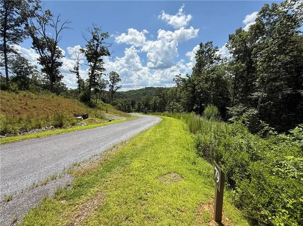 79 River Overlook Ln S #79, Ellijay, GA 30540