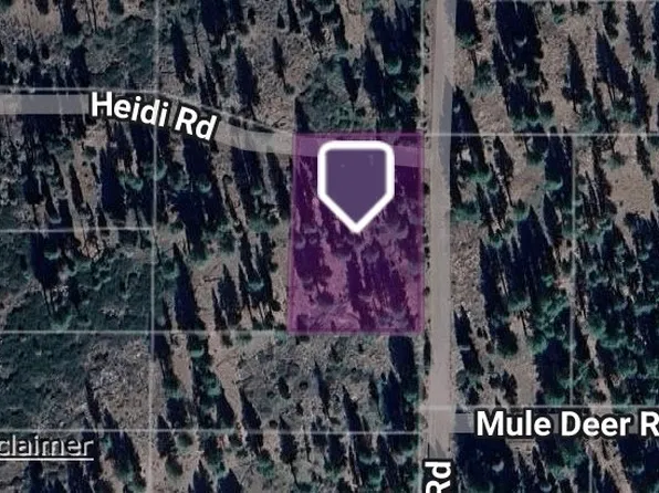LOT 45 #46-5, Alturas, CA 96101