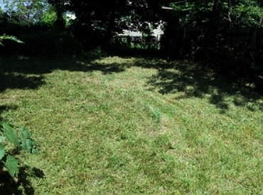 3rd image of 1210 Georgia Ave