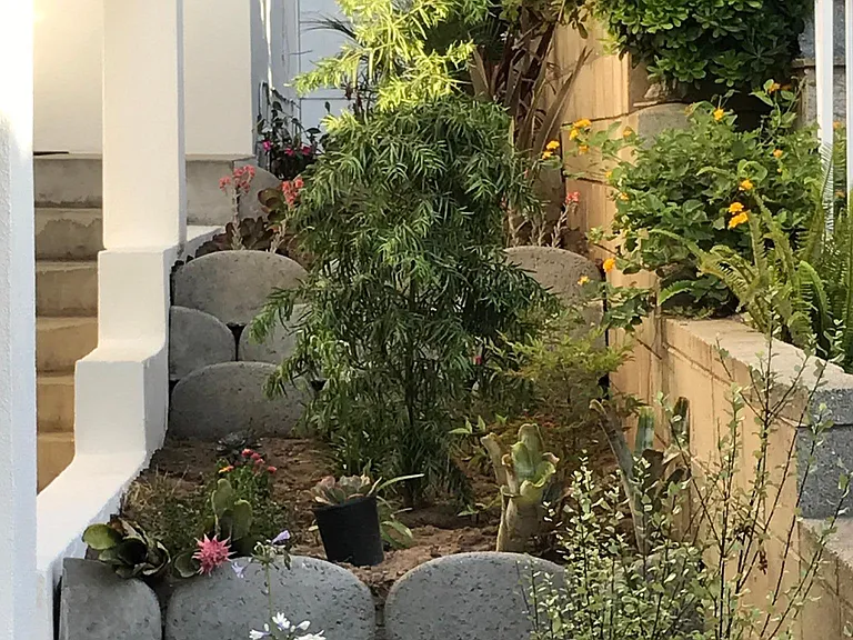 Landscaped entry
