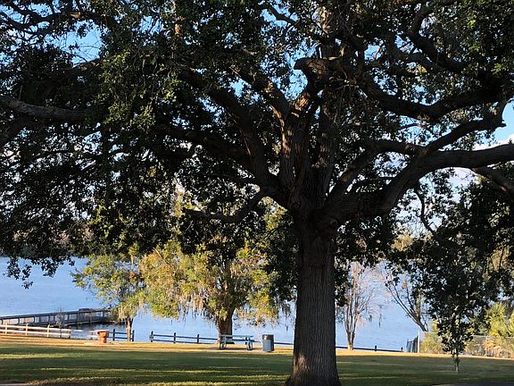 View from Living Room