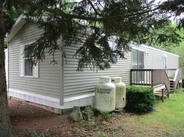 45 Maple St, Harpursville, NY 13787