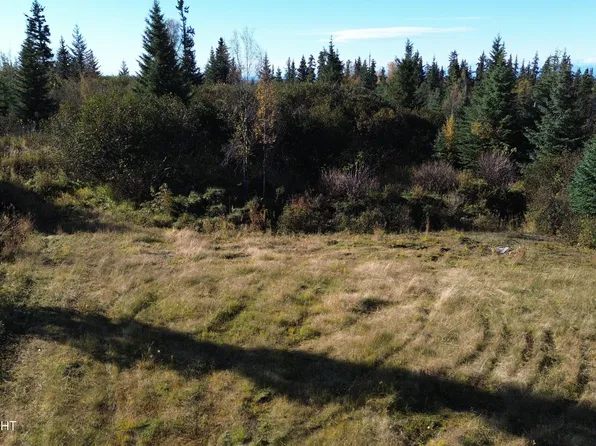 31511 Kalugin Pl, Anchor Pt, AK 99556