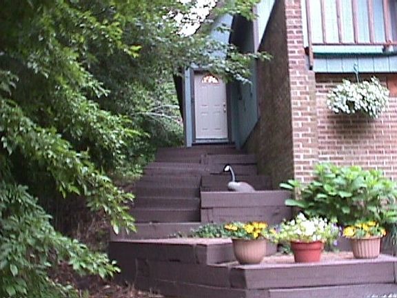 front entry