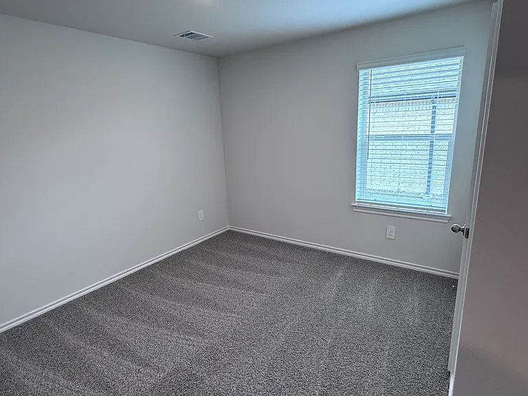4113 Limestone Bluff Dr — Photo 17