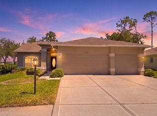 18744 Bellevista Ct, Hudson, FL 34667