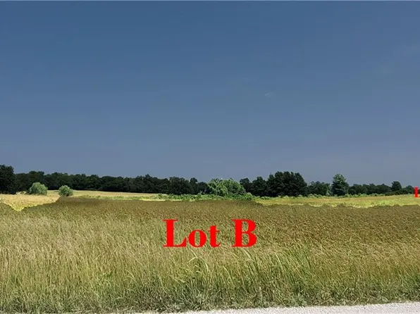 LOT E 267th St #B, Freeman, MO 64746