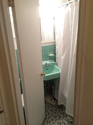 Rented by Eric Goodman Realty Corp | media 13