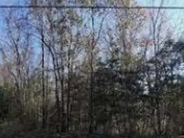 98 Mason Rd, Prince Frederick, MD 20678