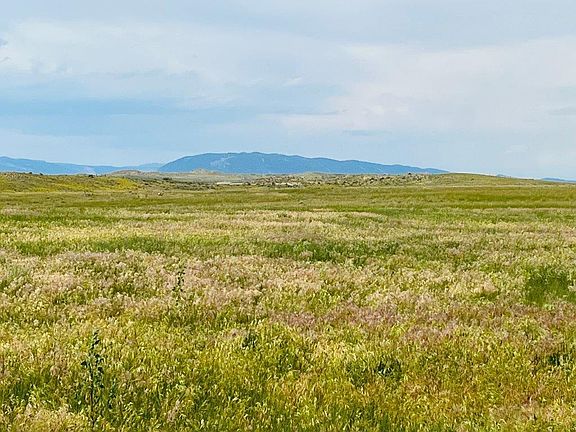 5th image of 25 Gosney Rd