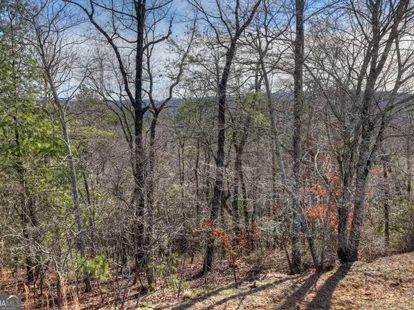 112 Fawn Way, Mineral Bluff, GA 30559