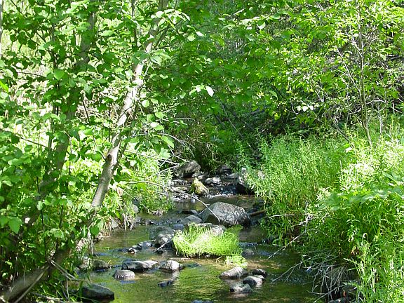 Sawmill Creek on property