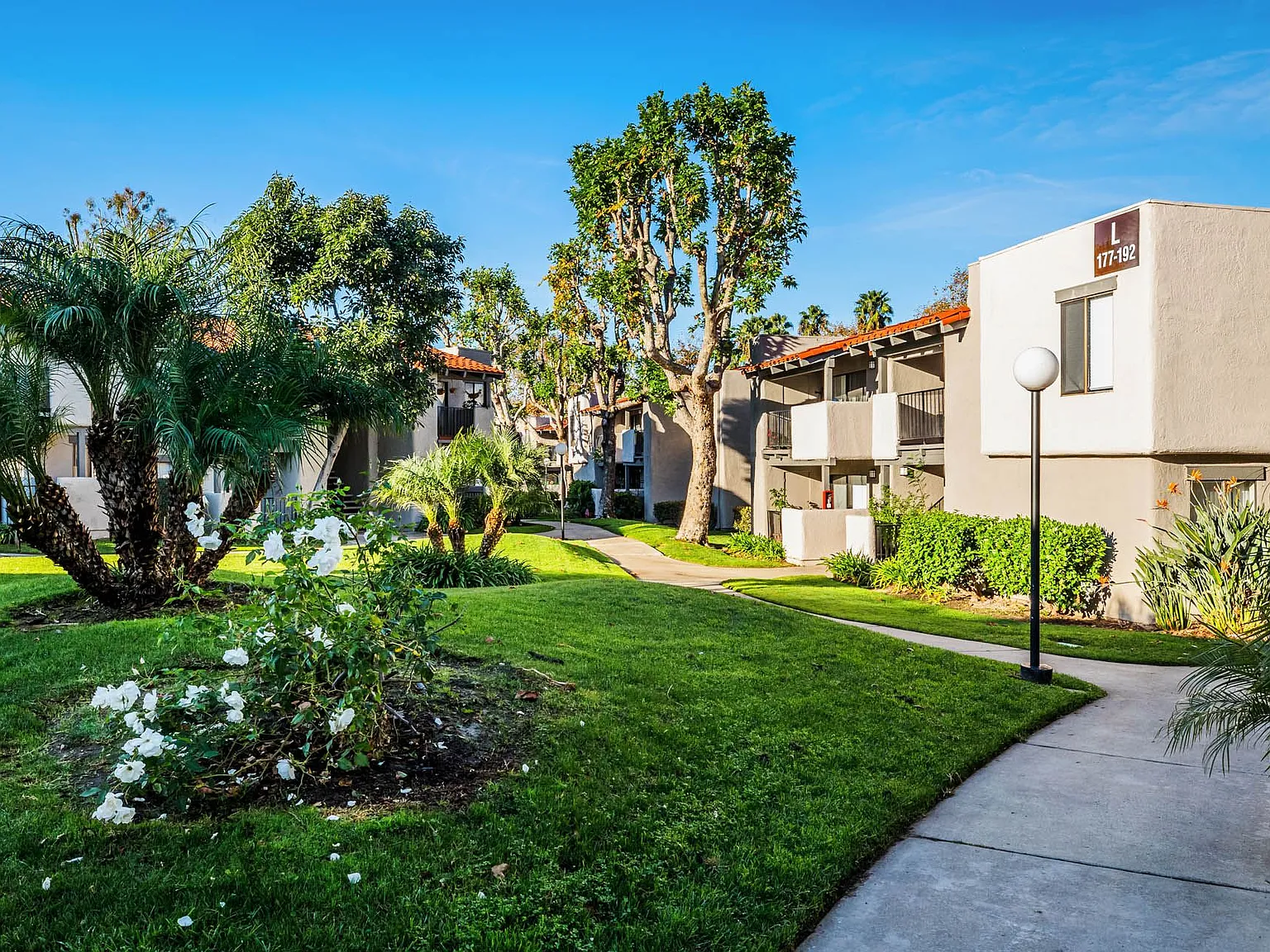 SYCAMORE LANE APARTMENT HOMES — Photo 4