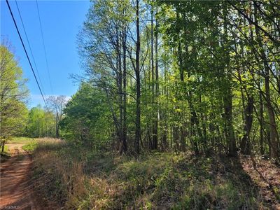 0 Blue Ridge Ln #6, Sandy Ridge, NC, 27046