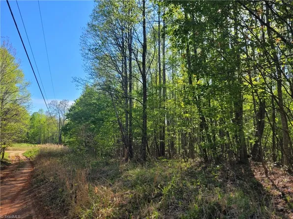 0 Blue Ridge Ln #6, Sandy Ridge, NC 27046
