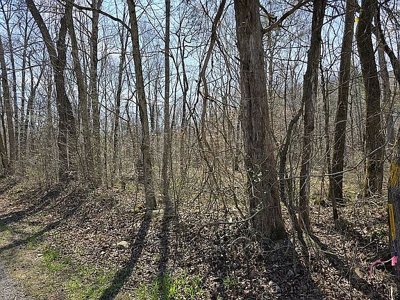 2nd image of 0 Hills Creek Rd