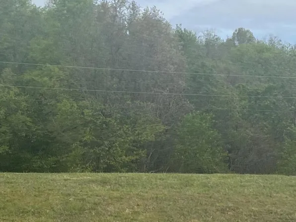 Lot #1 Mcfarland Ave, Cassville, MO 65625