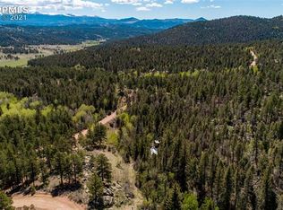 1248 Park Ridge Dr, Guffey, CO 80820