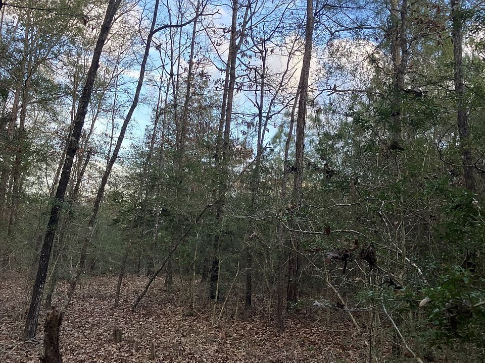 2nd image of 0 Odom Rd