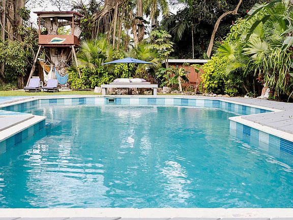 Large pool with day bed in the back and the tree house