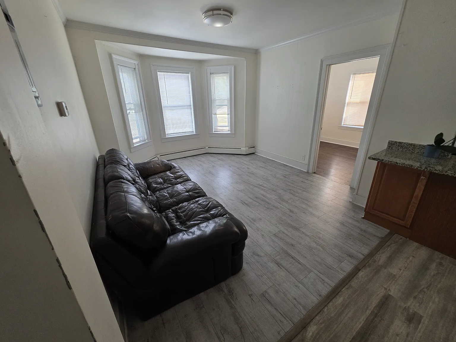 1081 Lawrence St — Photo 3