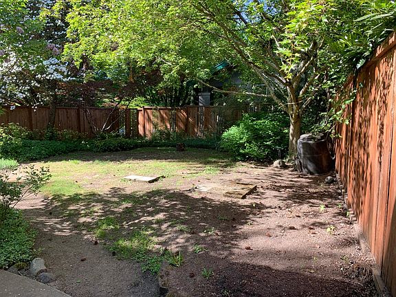 Fenced back yard