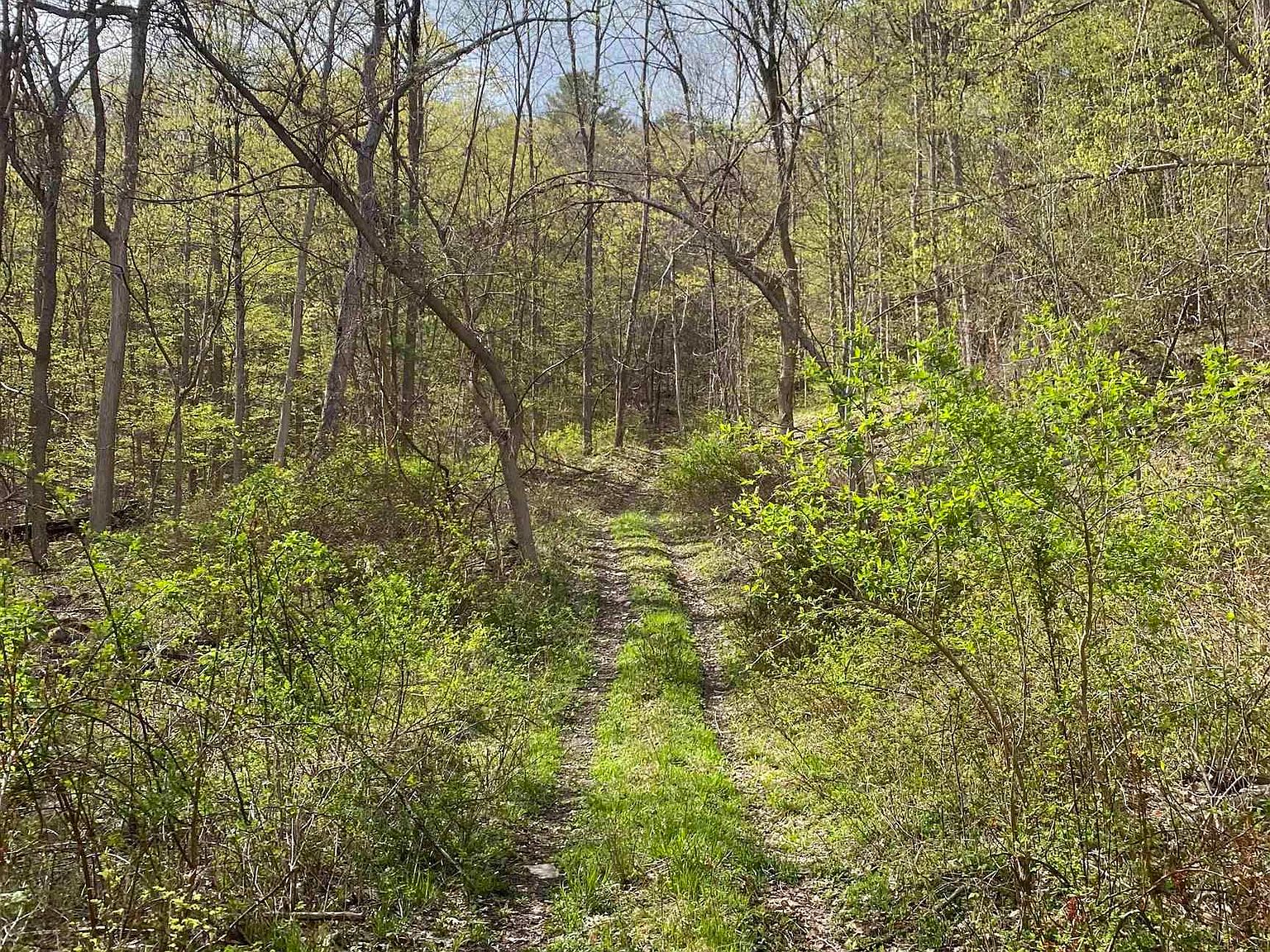 Mill Valley Rd, Middleburgh, NY 12122 MLS 20231013 Zillow