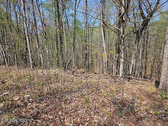 4th image of Benton Tidwell Rd