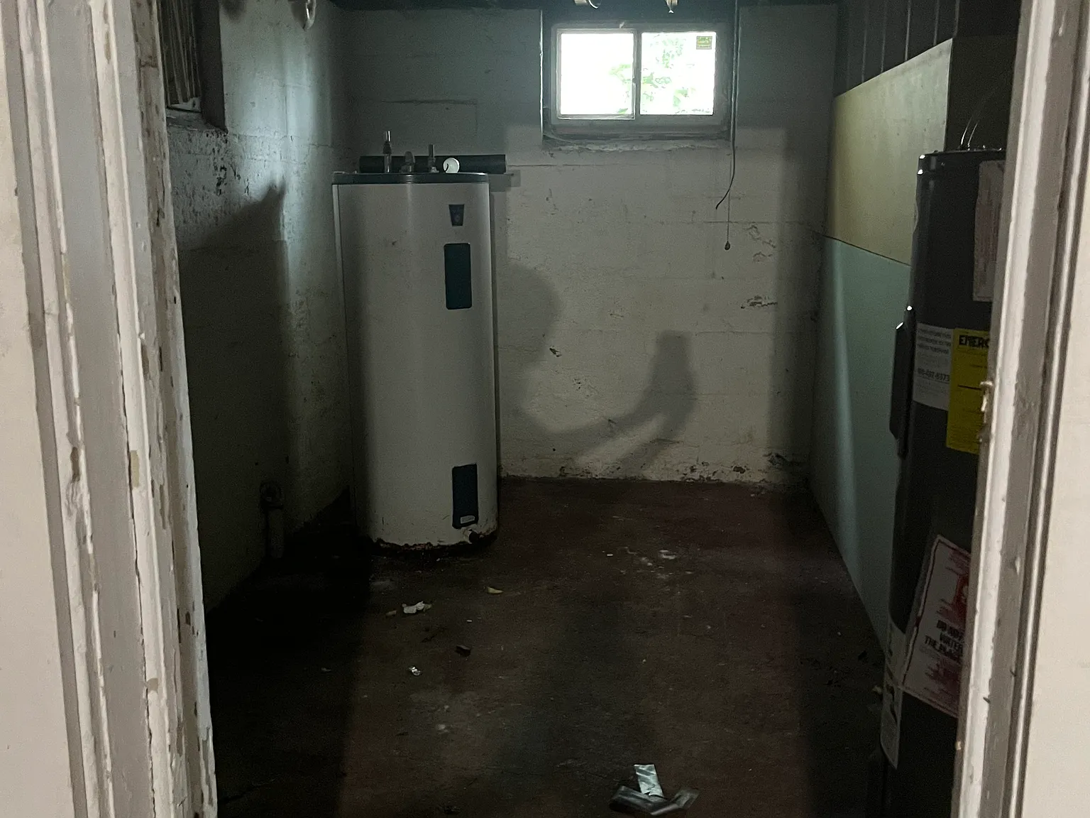 1 bed, $775 — Photo 3
