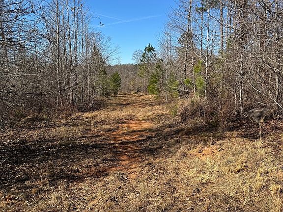 5th image of 738 Old Mineral Springs Rd