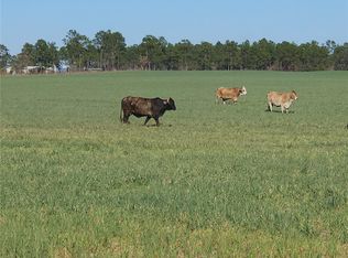 25 NW Buena Vista Rd LOT 25, Dunnellon, FL 34431