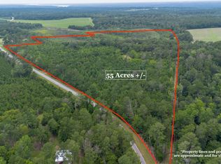 276 McLauchlin Rd, Bainbridge, GA 39819