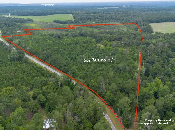 276 McLauchlin Rd, Bainbridge, GA 39819