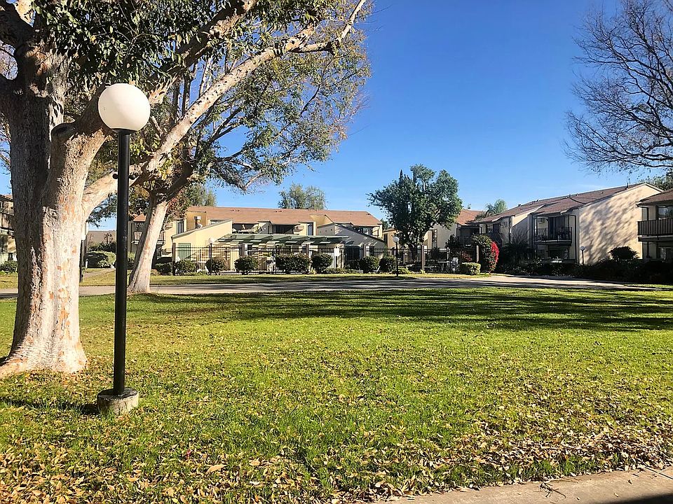 Lawn Area