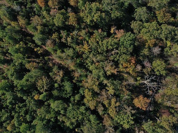 3rd image of 500 County Road 1632