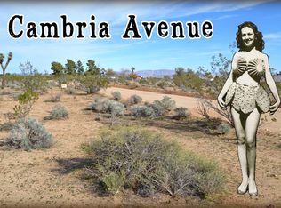 Cambria Ave, Yucca Valley, CA 92284