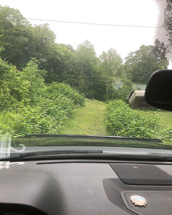 2nd image of 299 Armlin Rd