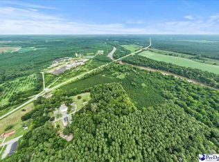 Williamson Dr, Society Hill, SC 29593