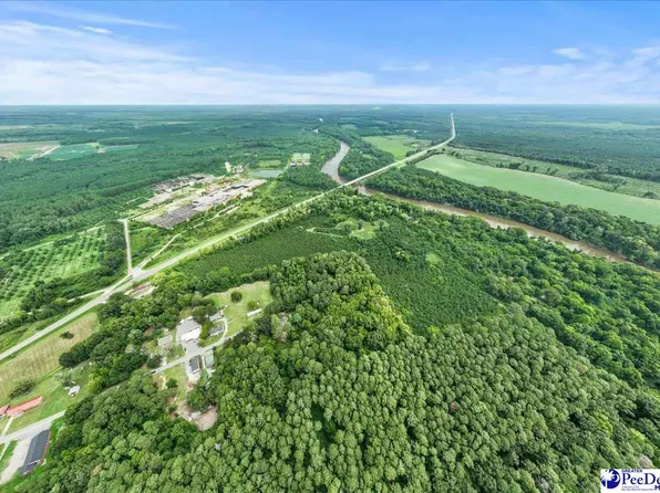 Williamson Dr, Society Hill, SC 29593