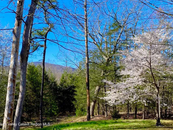 Tbd Adams Road, Saugerties, NY 12477