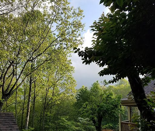 3rd image of 417 Deer Run