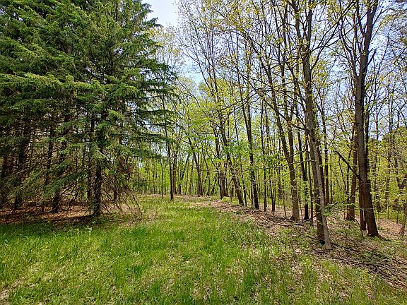 4th image of Tipsico Lake Rd Parcel B