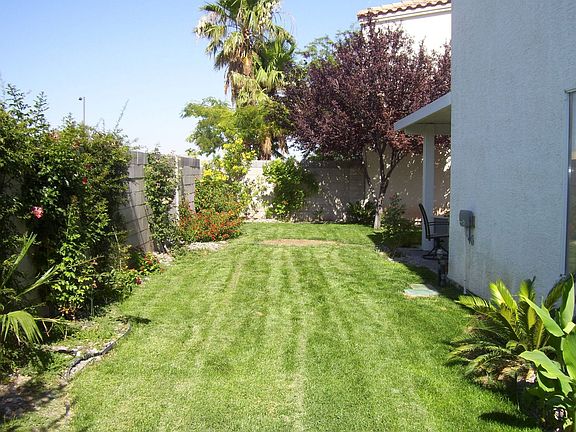 Grass, trees & shrubs to enjoy!