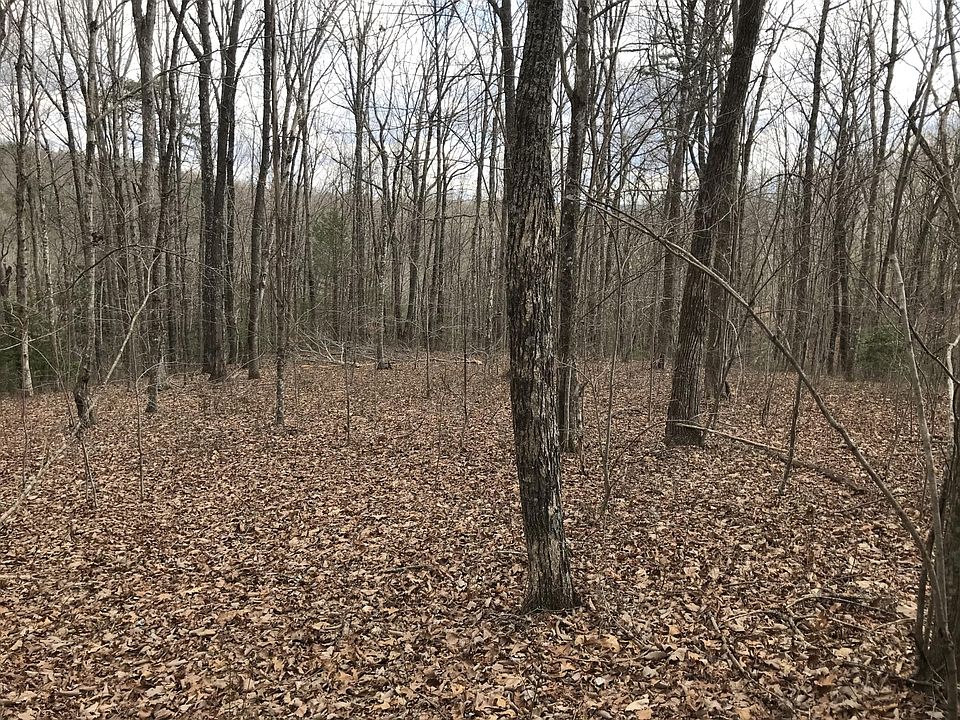 1st image of 550 Wilderness Way #550