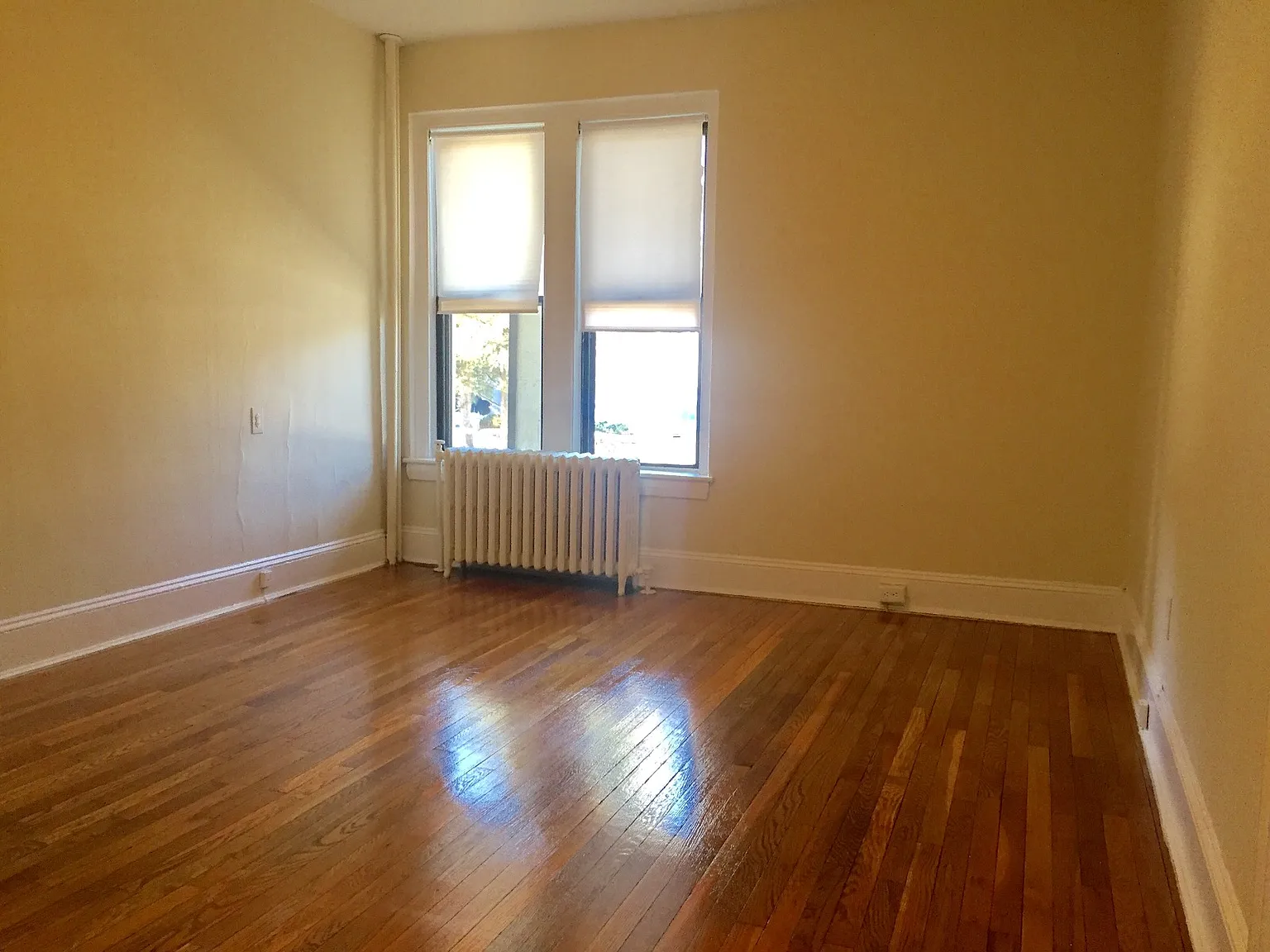 1 bed, 500 sqft, $1,850 — Photo 4