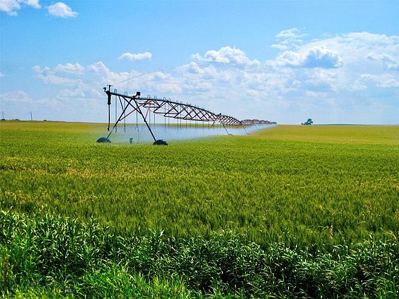 2nd image of Buena Vista Rd